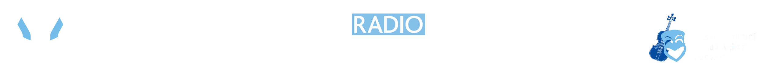 Radio USV